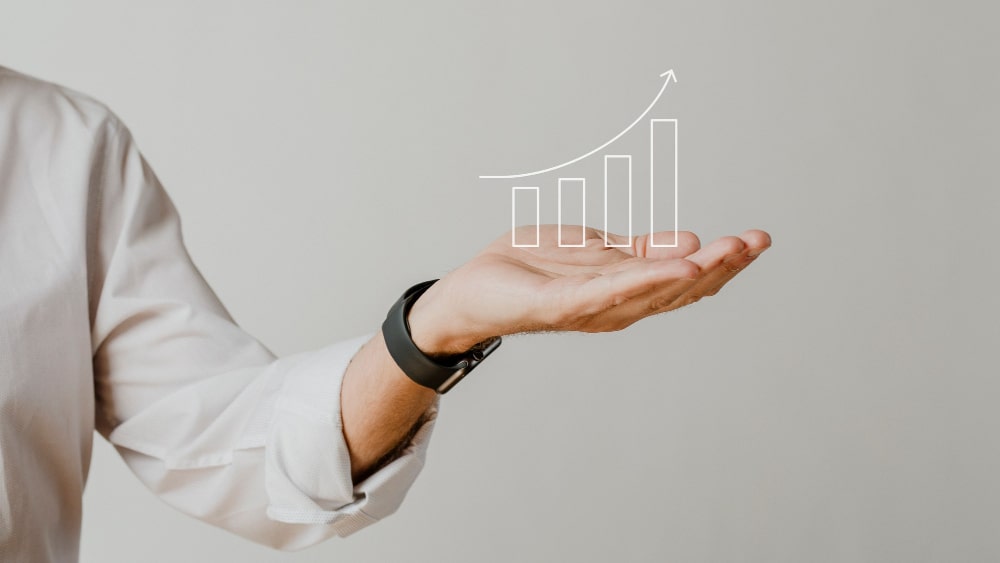 Pro Services in Dubai